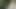 Wanking at the nudist beach in the bushes