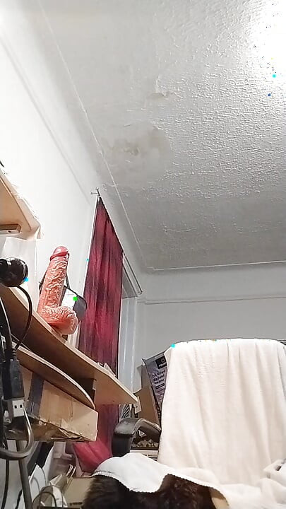 Would you like me to suck your cock?
