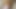 Closeup View of This Thick Sexy Ginger Cock