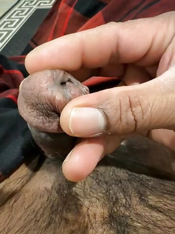 Hand dic play
