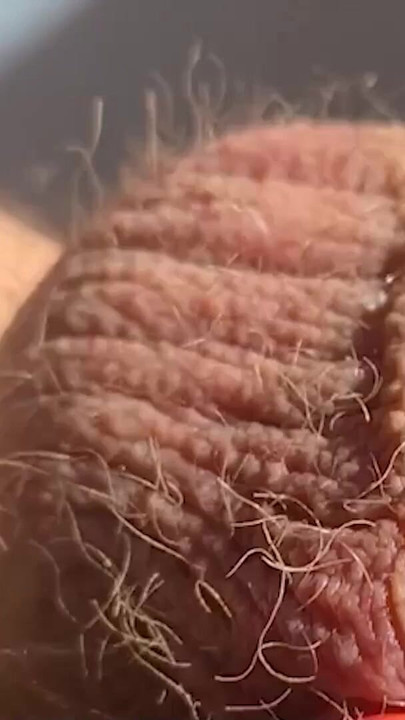Unforgettable moment from "Thick, fat, hard banded cock comes without squirting during horny banding session"
