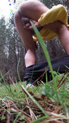 Video pregled