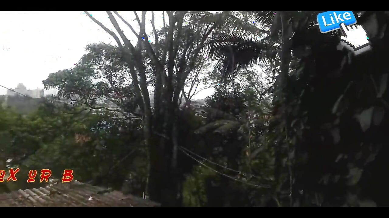 رول نو مورو مع حلوى D4