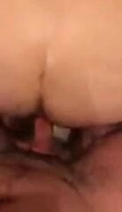 Young stud breeding me