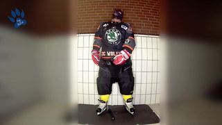 Gummi-Hockey-Welpen scharren