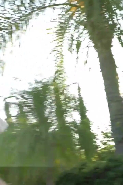 Due ragazze more calde giocano tra di loro