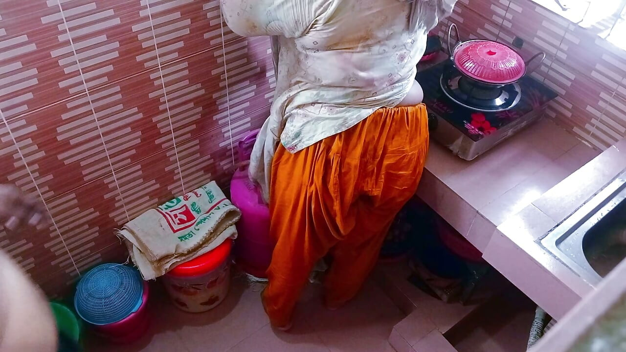 A beautiful desi aunty has a hot sex with a young man