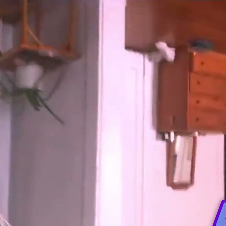 I miss your smell I just found this old video. When I first moved to Dallas, I fell in love, deeply.