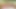 POV - Tiffany tatum ist eine zierliche schwanzleckt, schlampe und sie gehört ganz dir