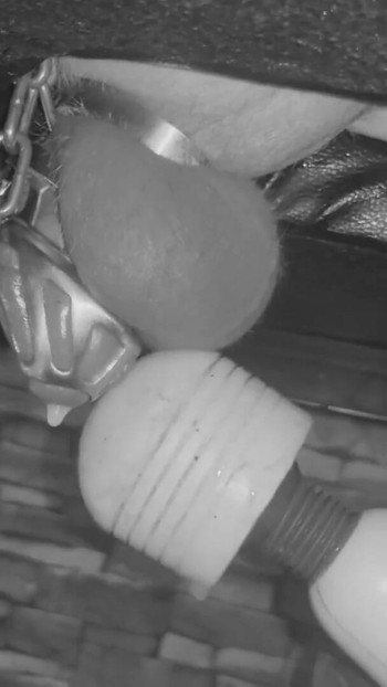 Memorable moment from "Made to cum in chastity cage restrained on the milking table"