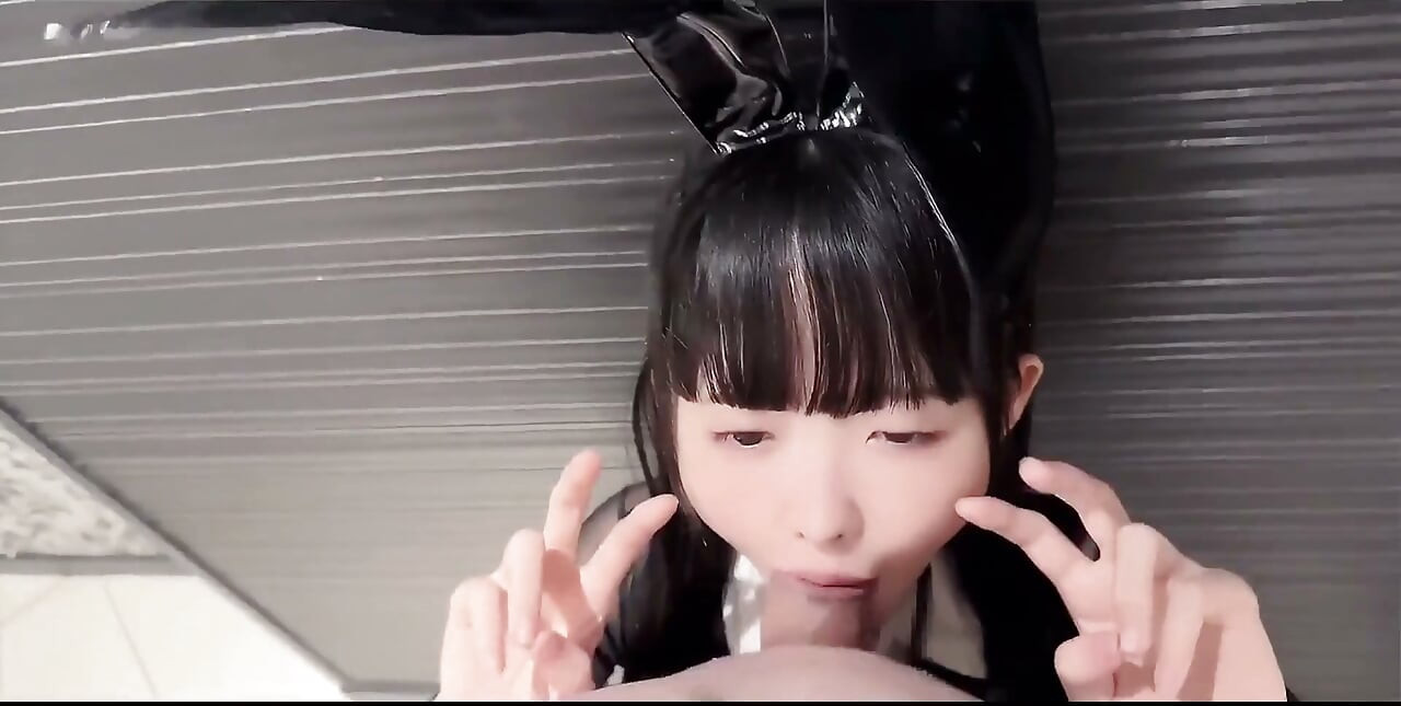 Catch the Bunny