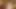 Die eier des sklaven vor dem blowjob massiv geknallt