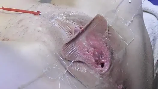 3 Menjilati Vagina Menyebar Jauh Dari Sangat Dekat