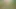 Indian Forest Garden Nearby My House Garden Out Side Hot Deshi Girl Fucking - Sucking Big Cook Blowjob