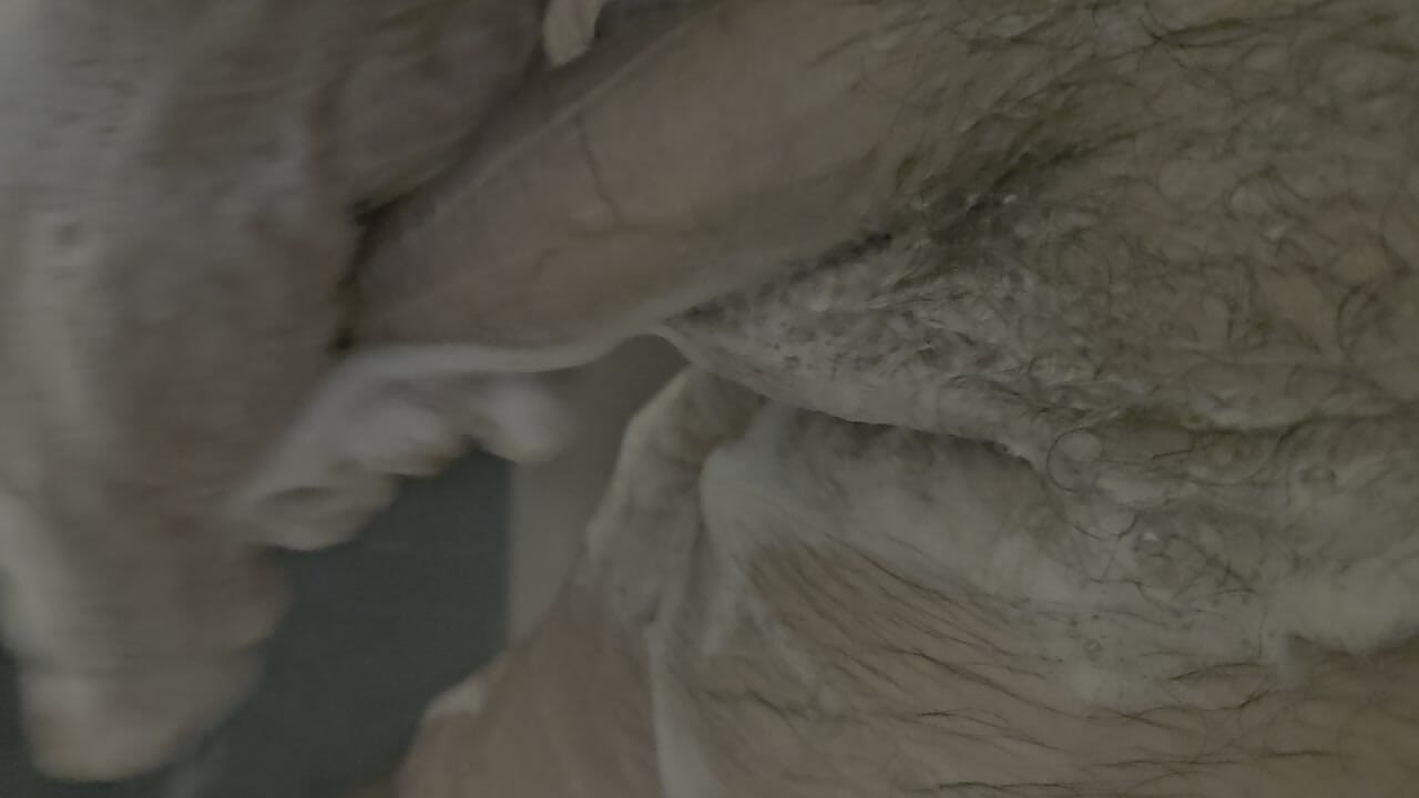 泡