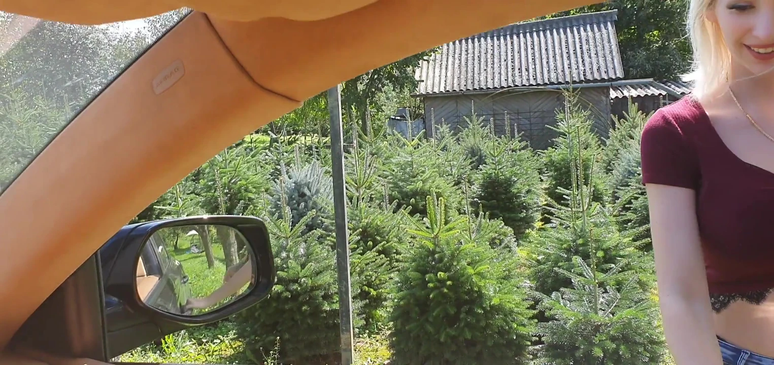 Blowjob – German hitchhiker needs a ride and help