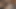 Hintli ateşli evli kadın hintli ateşli çiftlerin viral videosunda domalarak sikişiyor