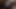الملاك الآسيوي 24940