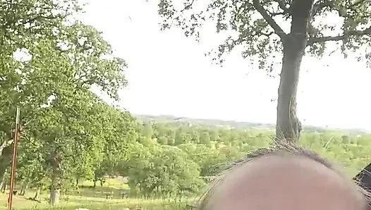 Трансляция началась