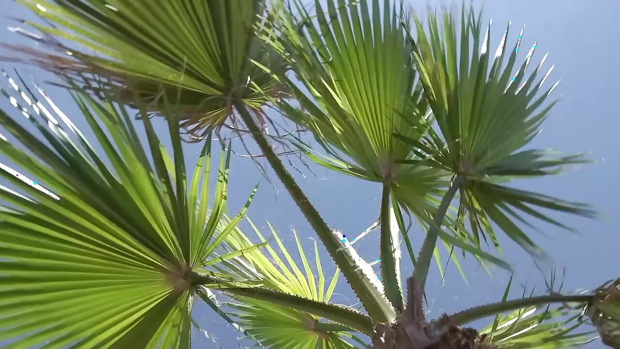 Возбужденный секс-турист, немецкая