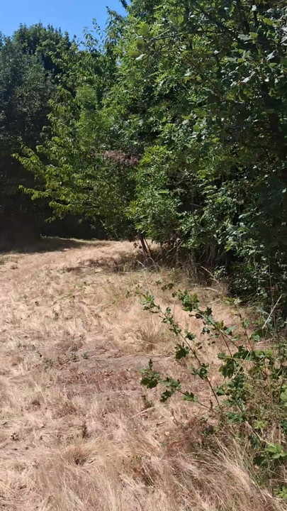Me in the woods.