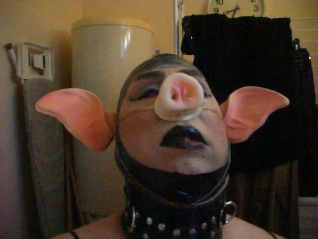 Feed the PIG