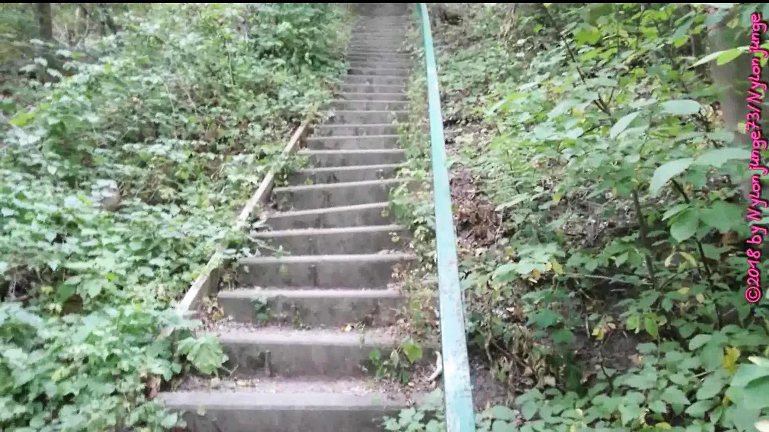 Fsh lopen op de waldberg bij Lengede
