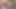 BBW Free Cams