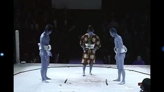 Una sexy lottatrice di sumo viene completamente spogliata. dal vivo