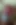 Self masturbation vibrator ejaculation