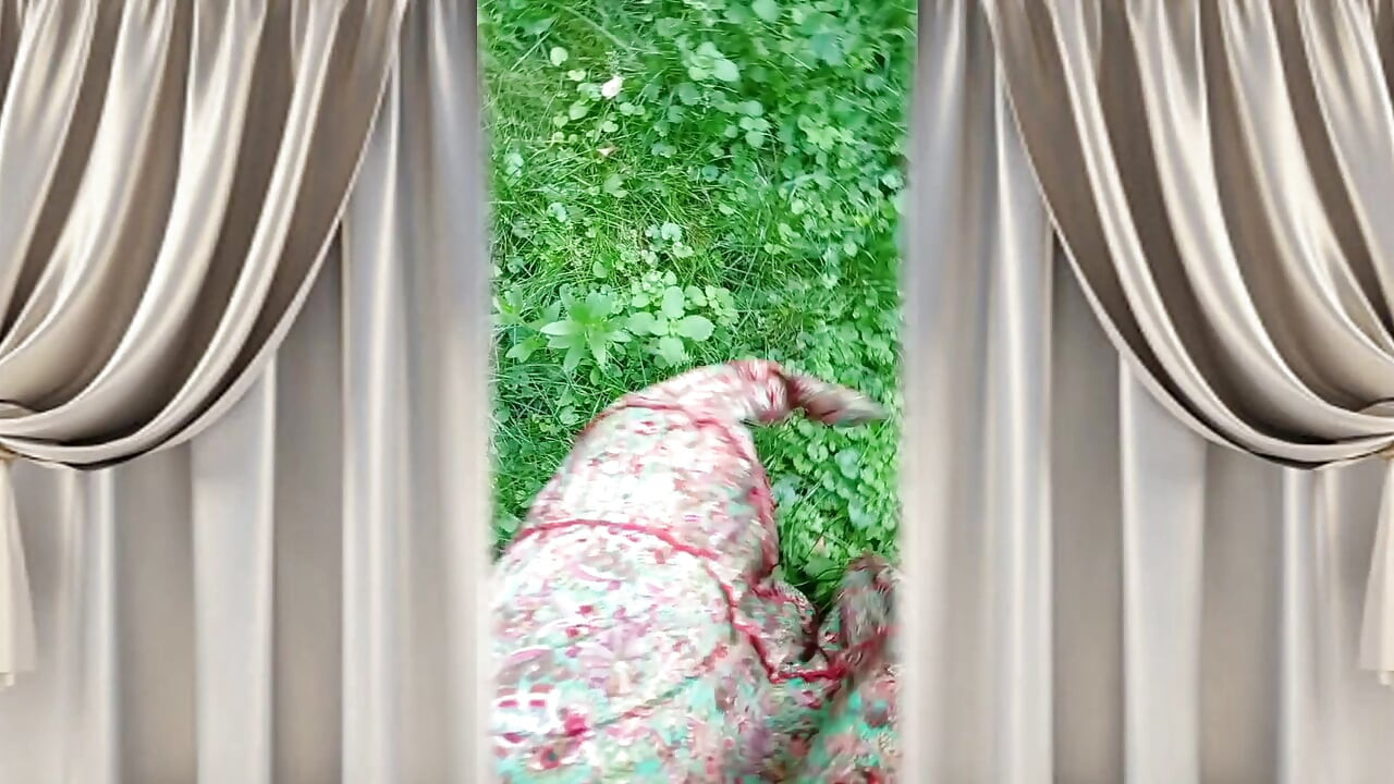 The Secret Dream of the Lonely Soul of the Cheerful Lukerya