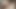 Hyderabad Telugu girl cum on boobs