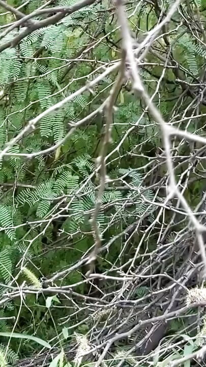 The girl revealed all the secrets of giving and taking.