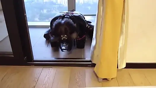 Mz12 - Latex-bound Puppy Vibrates to Reach Orgasm