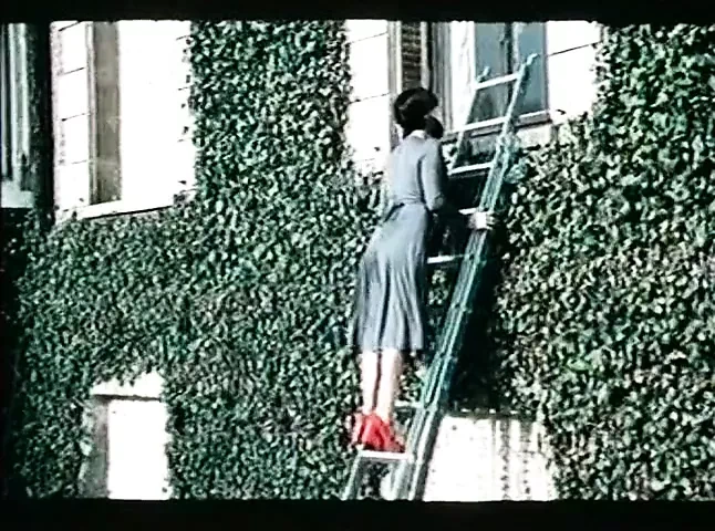 Scharfe Teens (1979) 和 Barbara Moose