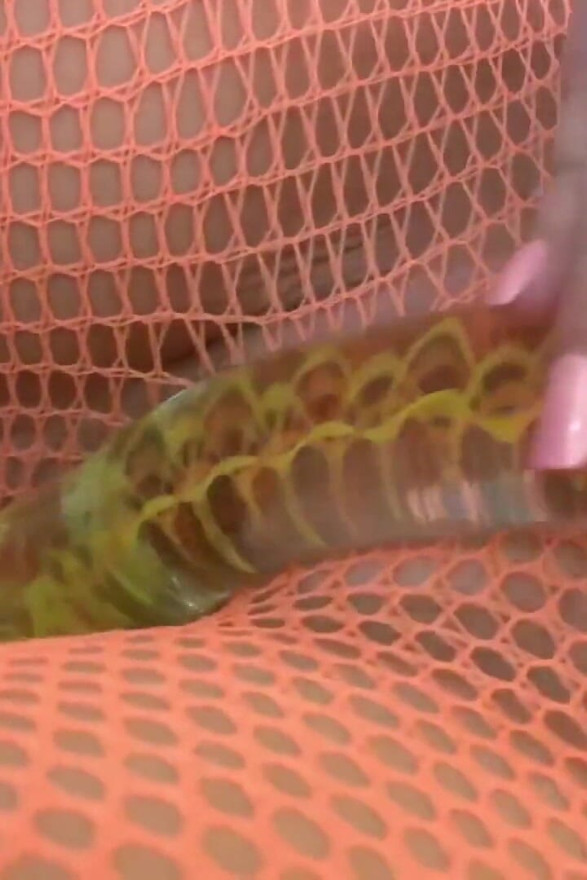 Brunette with sex toy is pleasing her pussy, all in fishnets