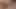 الملاك الآسيوي 25276