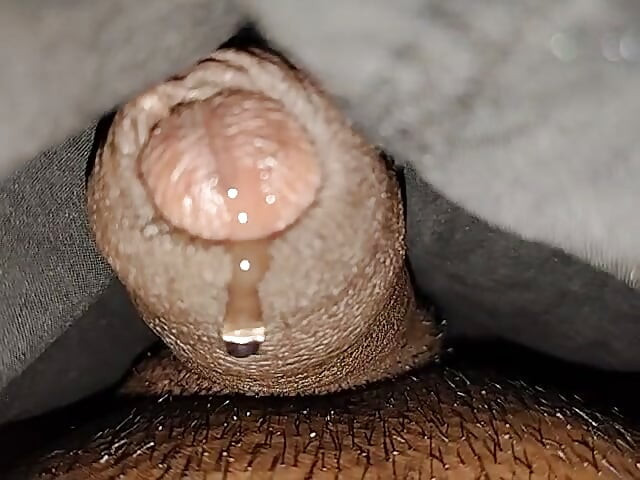 Drkanje i domaće savladavanje, potpuna radost kod kuće