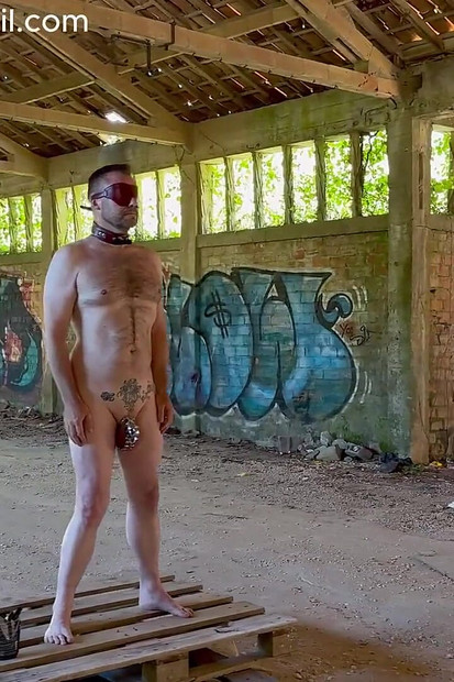 Pratonton Video
