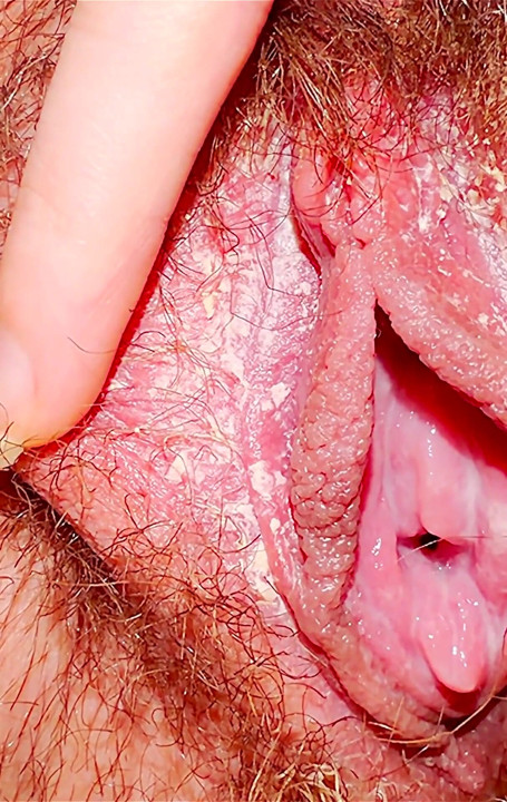 Creamy Pussy in Close-up.