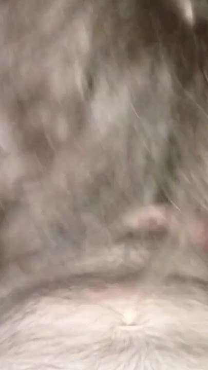 美容師の友人 |クリップ1