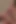 Porno yıldızı Beata Undine anal büyük beyaz yarakla sikiliyor