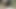 VIP4k. piliç online mağaza açmak istiyor, bu yüzden neden büyük sikikleri