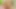 Cuckold and New Guy Sperm for Housewife by Cuckoldest
