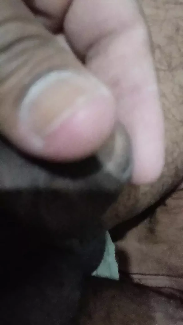 Sex life enjoy my toilet