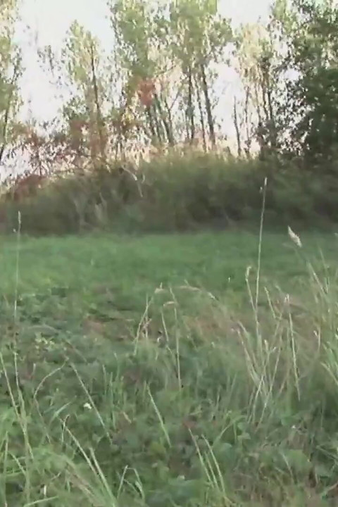 Big ass granny enjoys her pussy bang outdoor