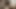 ABSOLUTELY DEPRAVED!!! - (Trauma #05)
