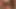 Redhead gets bred by BBC while hubby films it