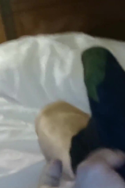 Otc Soxをオンにしたホテルの部屋でベアがオナニーする