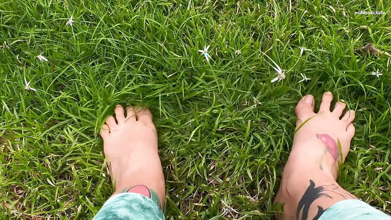 I Let You See My Feet Rubbing and Pressing Against the Grass